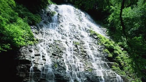 高性能绿色智能